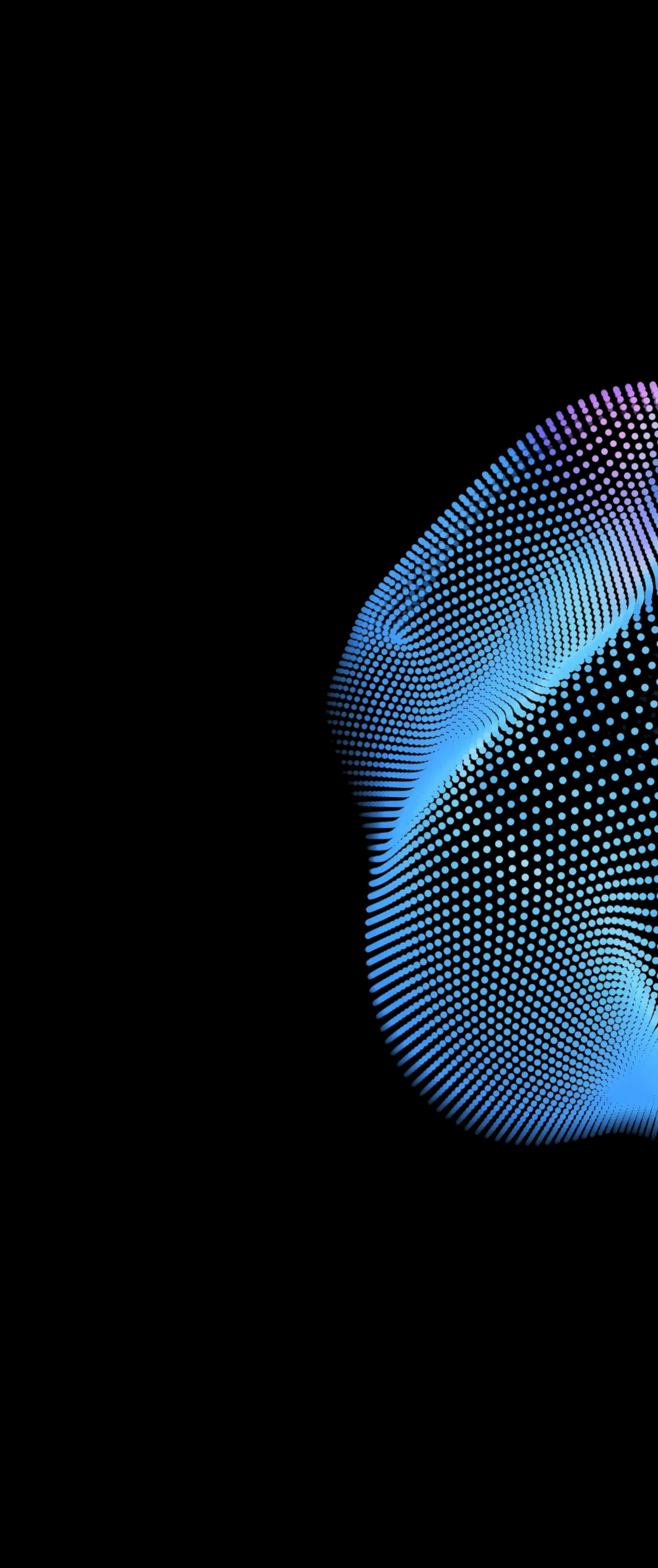 vector